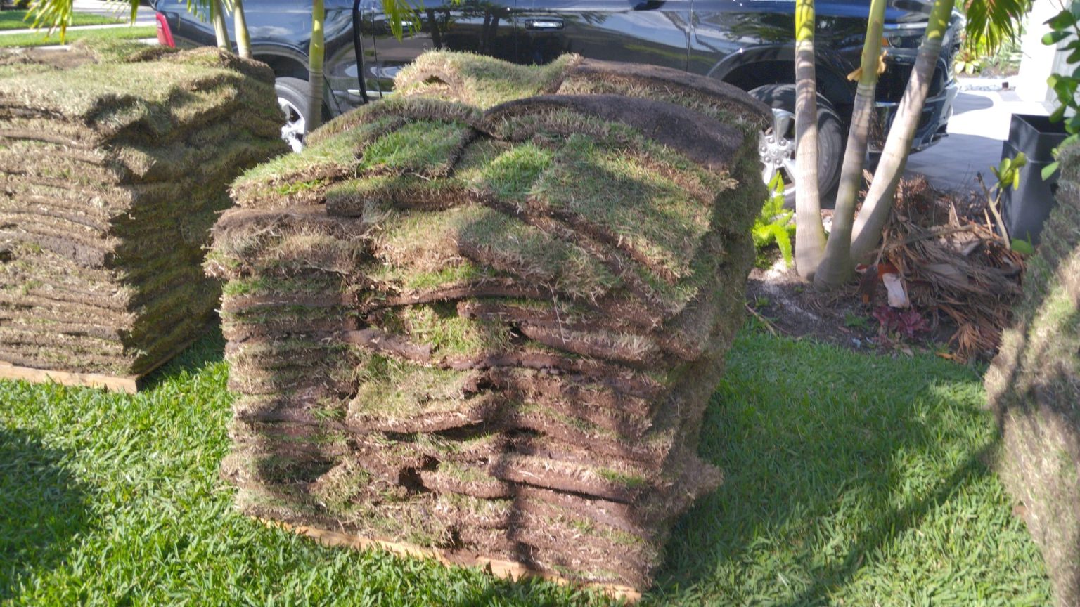 pallet of fresh sod