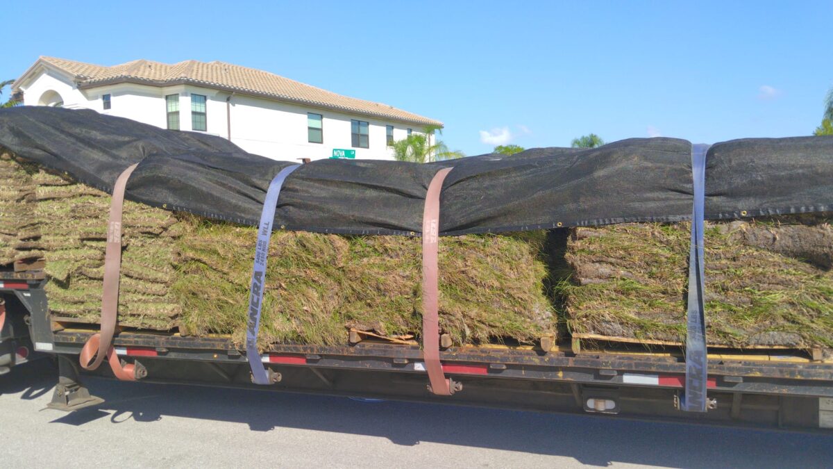 WhatsApp Image 2023-10-03 at 3.56.50 PM Fort Myers sod pallet