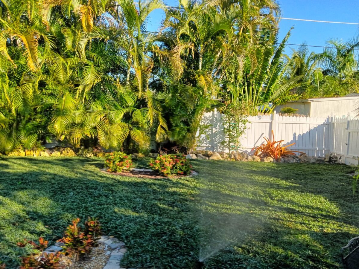 Bonita Springs Sod Installation Project 1 Bonita Springs Sod Installation Project 1