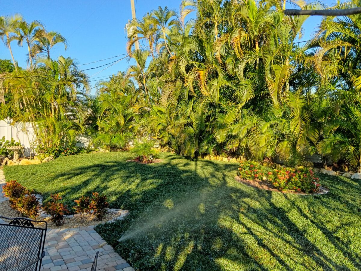 Bonita Springs Sod Installation Project 2 Bonita Springs Sod Installation Project 2