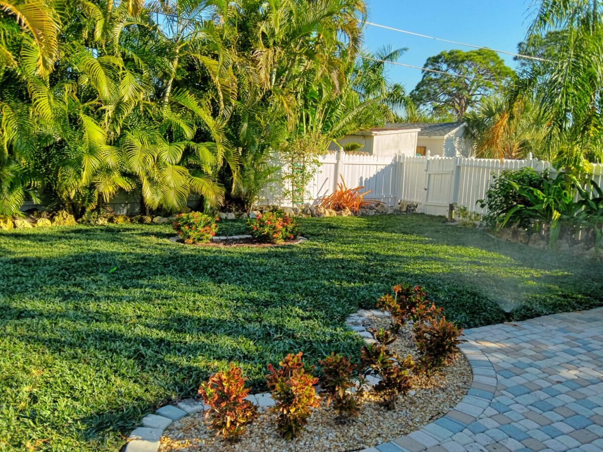 Bonita Springs Sod Installation Project After Picture Bonita Springs Sod Installation Project After Picture