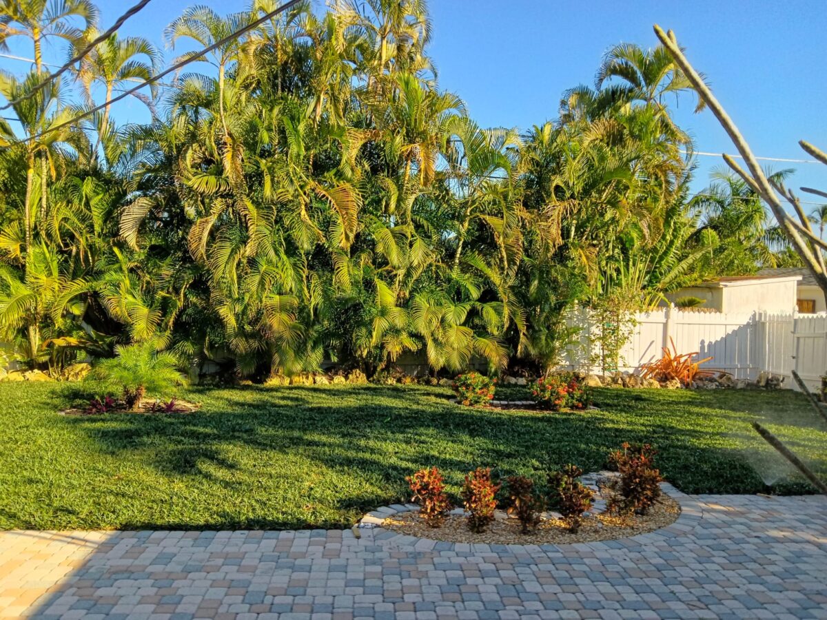 Bonita Springs Sod Installation Project 3 Bonita Springs Sod Installation Project 3
