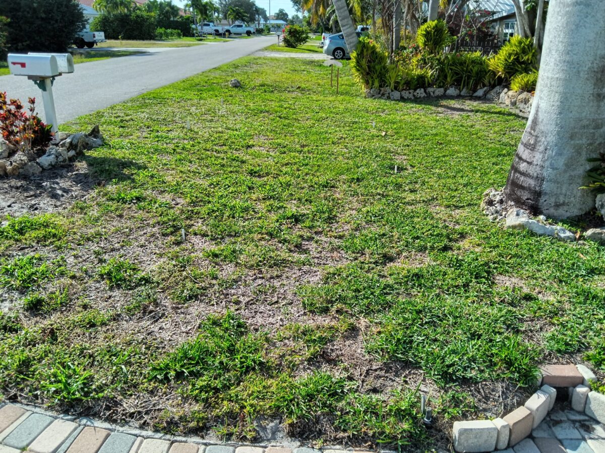 Bonita Springs Sod Installation Project Before Picture 2 Bonita Springs Sod Installation Project Before Picture 2
