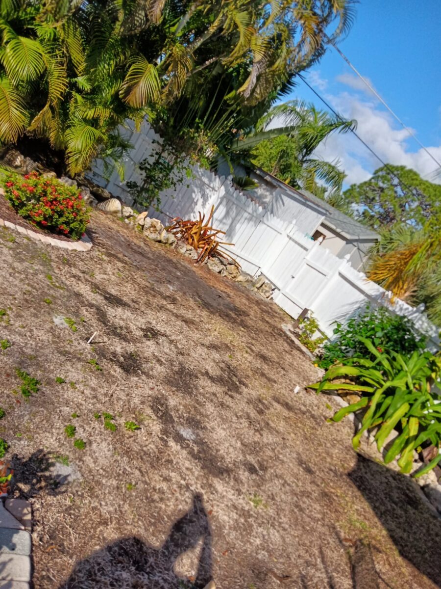 Bonita Springs Sod Installation Project Before Picture 3 Bonita Springs Sod Installation Project Before Picture 3