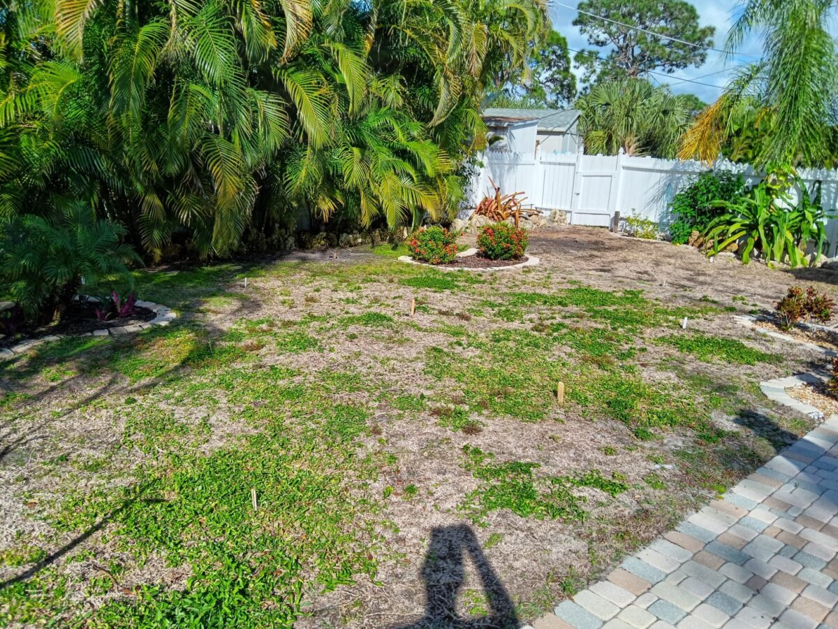 Bonita Springs Sod Installation Project Before Picture 5 Bonita Springs Sod Installation Project Before Picture 5