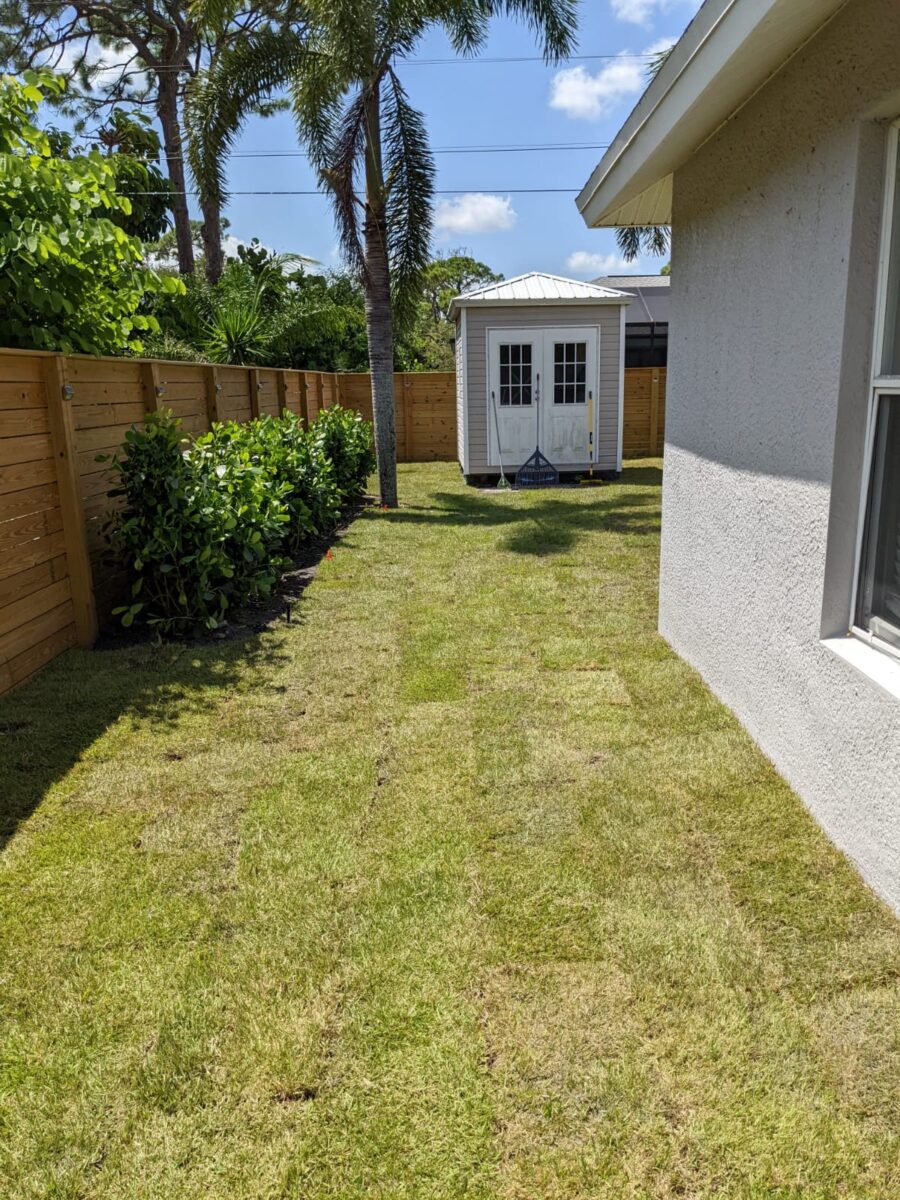 esterosodsunshinesod esterosodsunshinesod