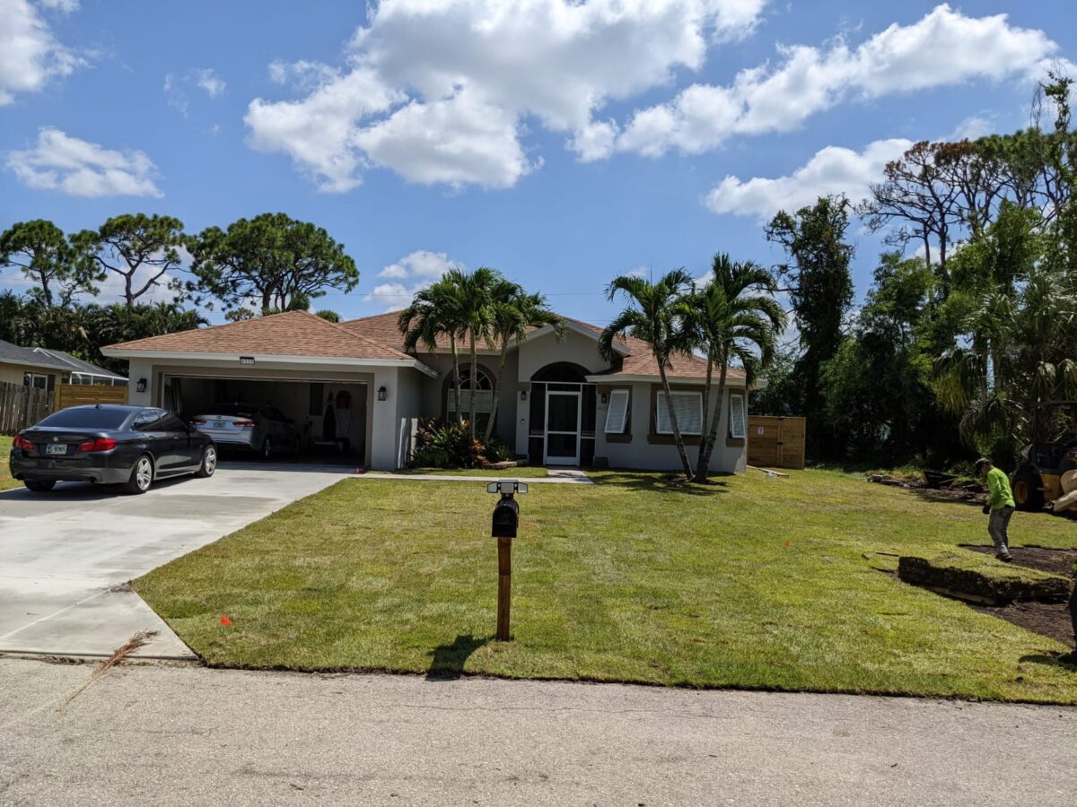 esterozoysiasodinstallation esterozoysiasodinstallation