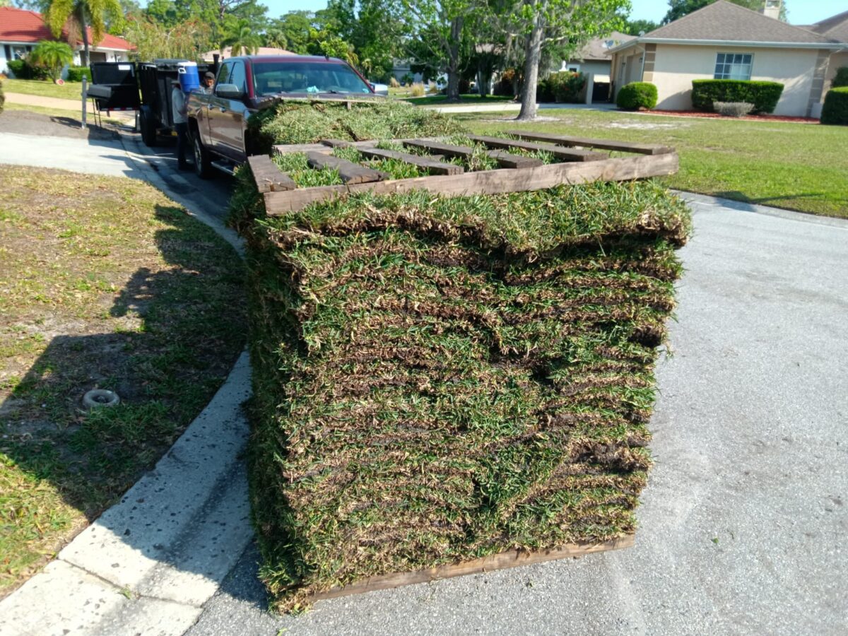 sarasotasodcitrablue sarasotasodcitrablue