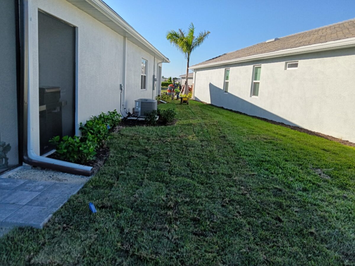 Bradenton poolside lawn restoration project