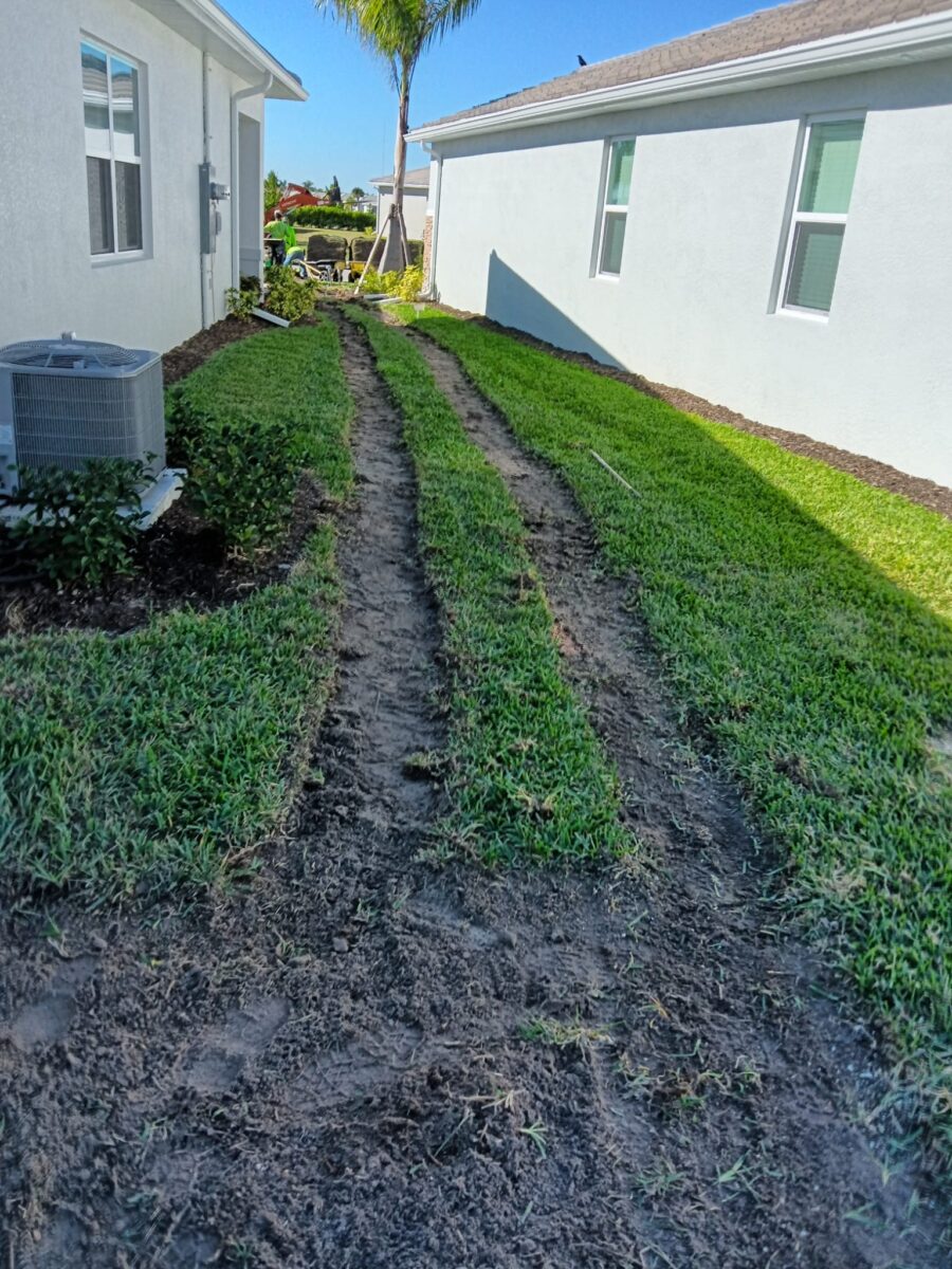 Bradenton sod installation project