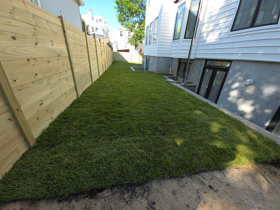 pallets of fresh sod